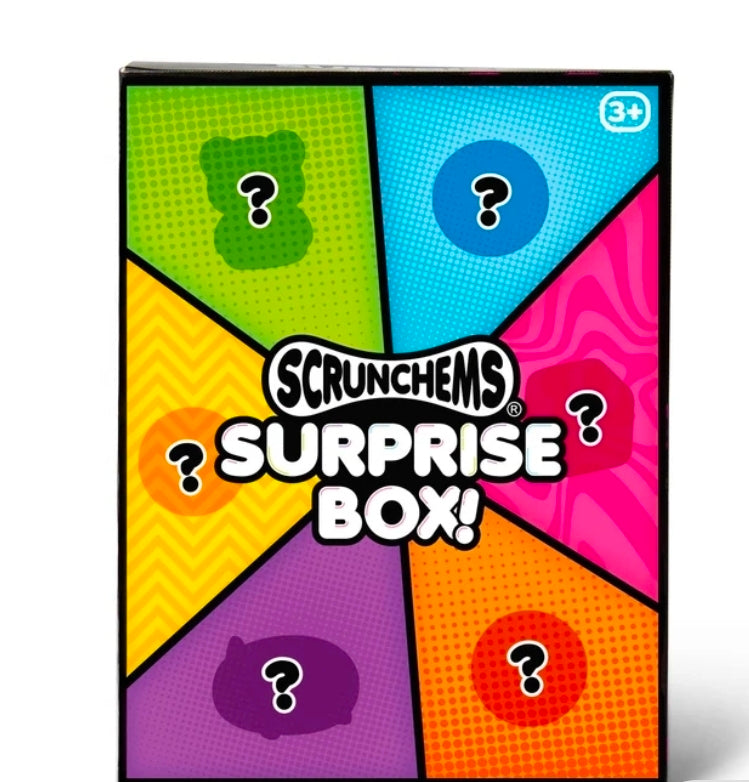 Scrunchems Surprise Box - 6 Squishy Surprises