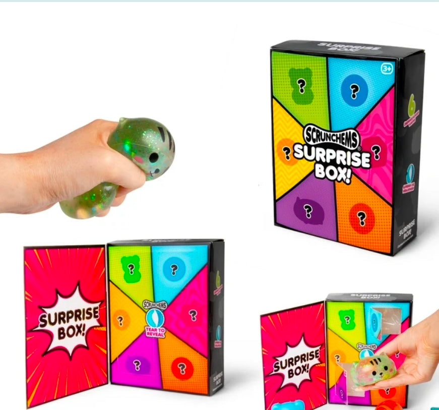 Scrunchems Surprise Box - 6 Squishy Surprises