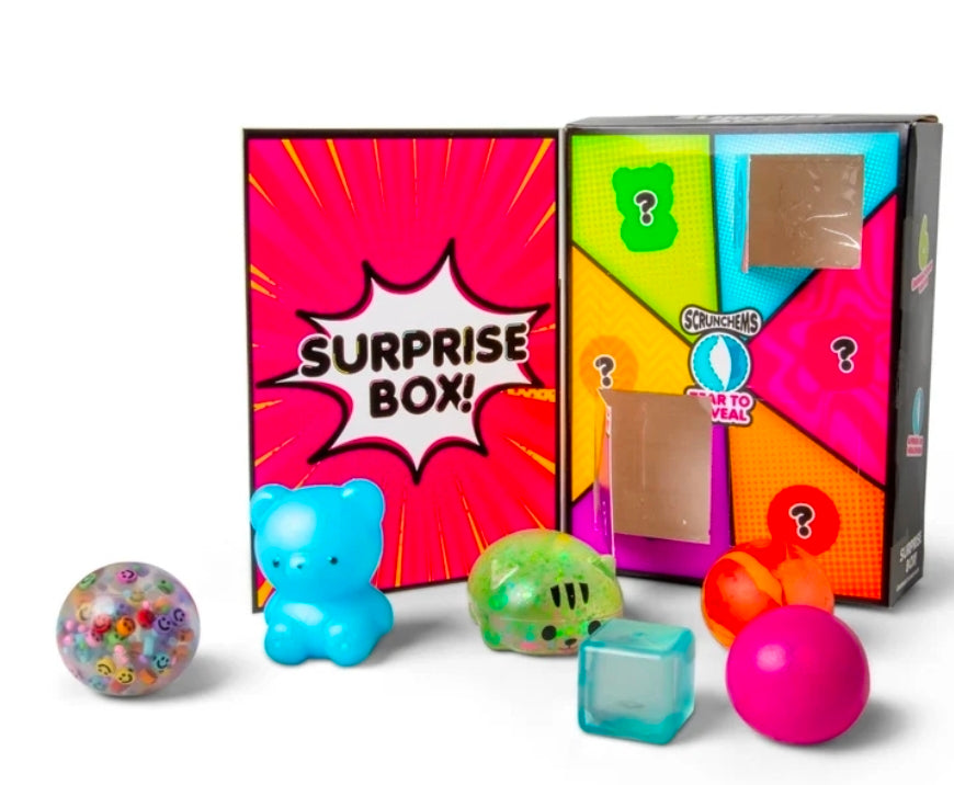 Scrunchems Surprise Box - 6 Squishy Surprises